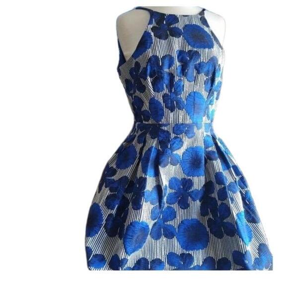 Belle Badgley Mischka Blue Floral Striped Sleeveless Fit And Flare Dress Size 2 - Picture 2 of 11